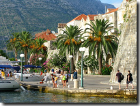 Korčula luka