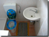 Sink and toilet in the second bathroom
